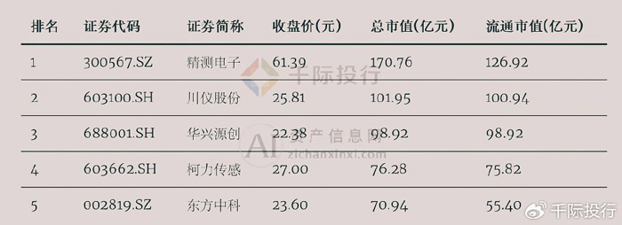 仪器仪表行业个股公司市值排名（截至2024-05-21）